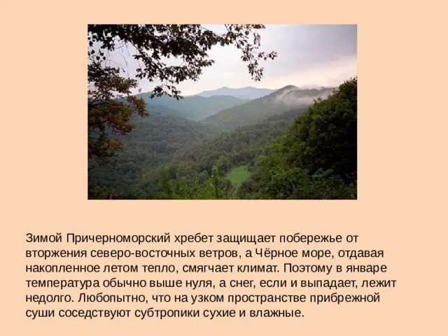 Субтропики климат. Климат субтропиков в России. Субтропики природная зона. Причерноморский хребет. Субтропики 8 класс презентация полярная звезда