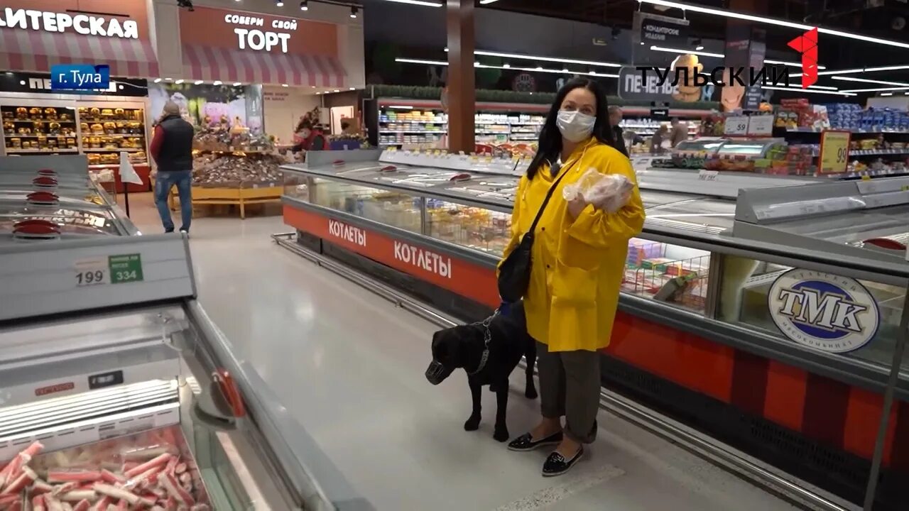 Можно ходить с собаками в магазин. Собака пошла в магазин. А В магазин кто пойдет. Разрешено ли ходить с собакой в магазин. Можно ли ходить в продуктовом магазине с собакой.