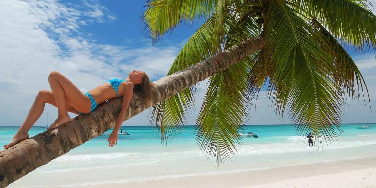 Где отдохнуть за границей в апреле 2024. Девушка лежит на Пальме. Карибское море пляж девушки. Пальма гнется?. Фото девушки на пляже и пальмы.