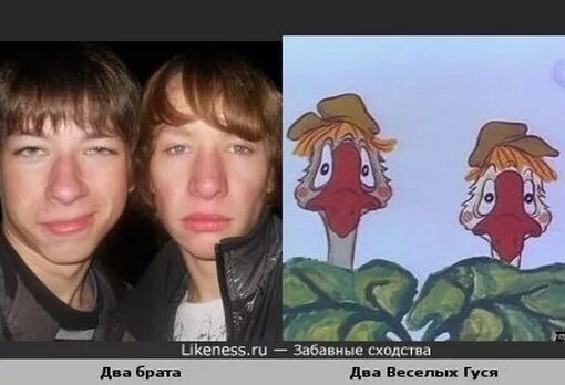 Похож д. Картинки на кого похож. похожи друг на друга прикол. похожи друг на друга прикол мульт. лица картинка на кого похож.