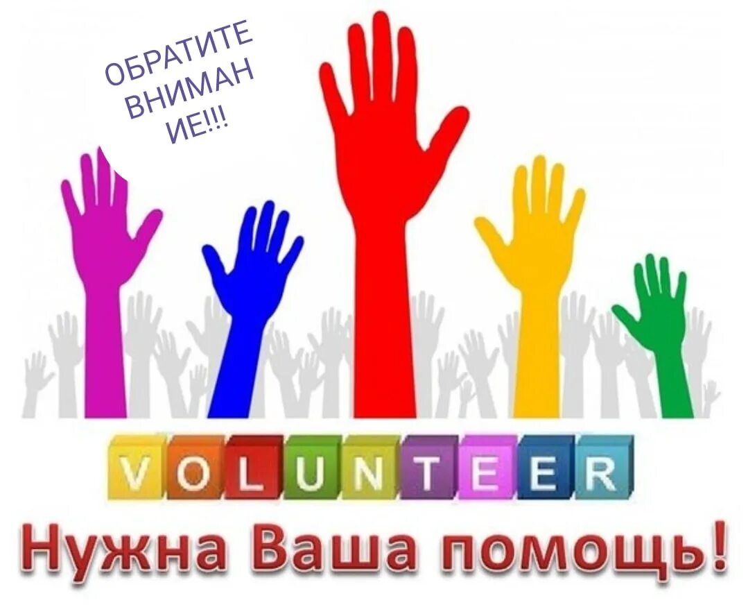 Нужны волонтеры. Нужны помощники волонтеры. Нужна помощь добровольцев. Требуются волонтеры. Нужна помощь волонтеров