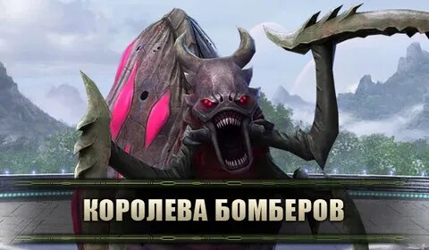 Королев босс