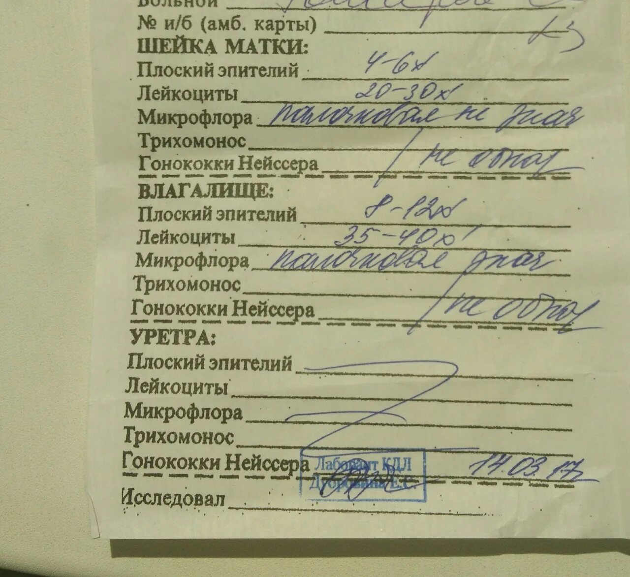 Уреаплазма микрофлора. Лечение уреаплазмы парвум. уреаплазма парвум у мужчин. уреаплазма парвум офлоксацин. схема лечения уреаплазмы парвум у женщин.