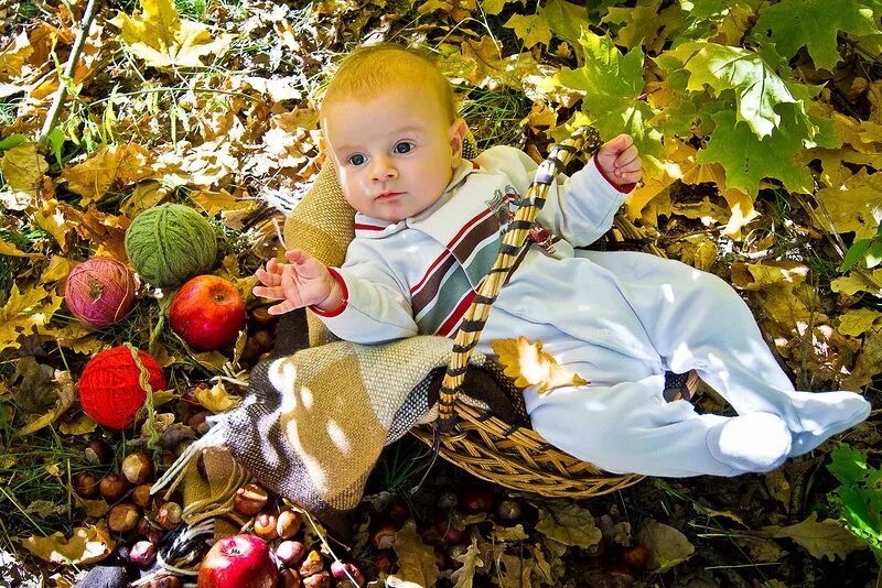 6 месяцев даче. Осенняя фотосессия с грудничком. Дети осенью. Осенняя фотосессия малышей до года. Фотосессия малыша в осенней тематике.