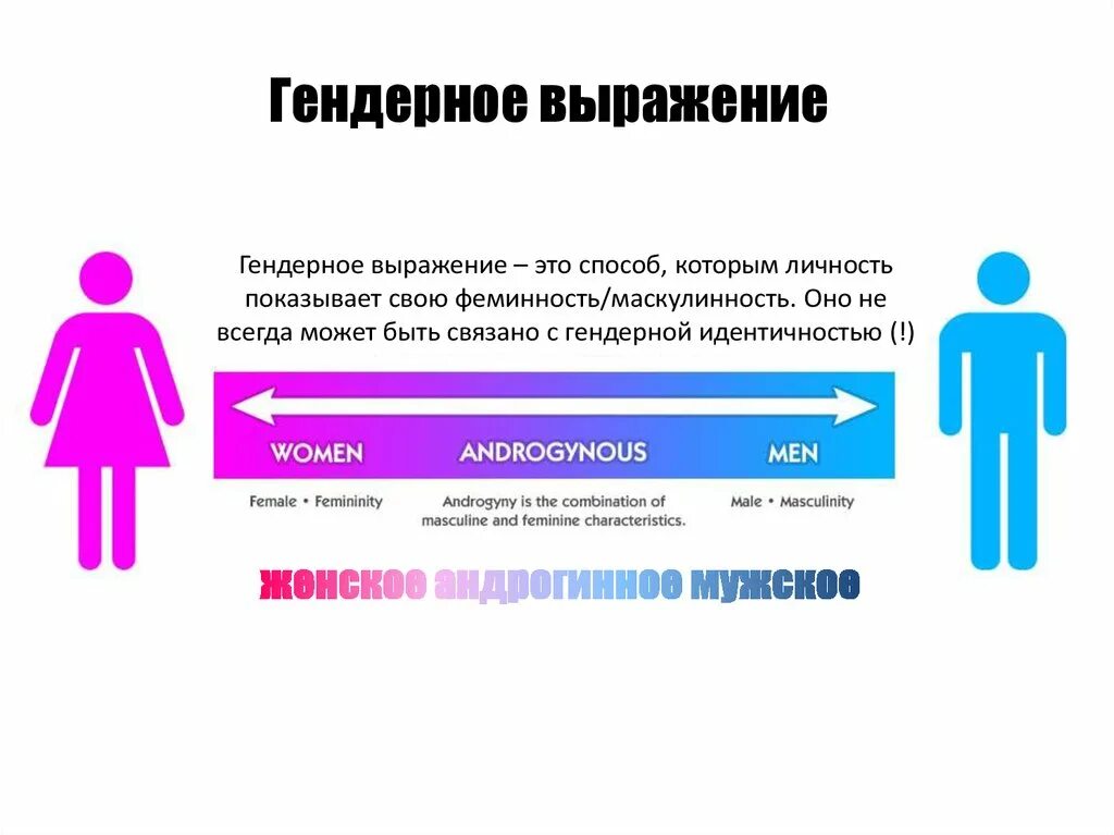 Гендерное различие полов. Гендерное выражение. Гендерные фразы. Гендерные стереотипы. Пол и гендер.