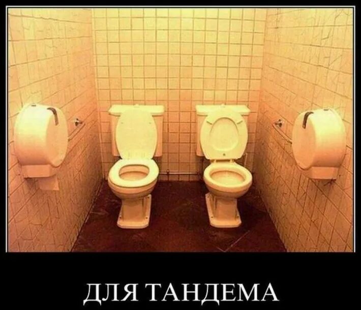 Унитазы рядом. Два унитаза. унитазы в ряд. унитазы друг напротив друга. унитазы напротив.