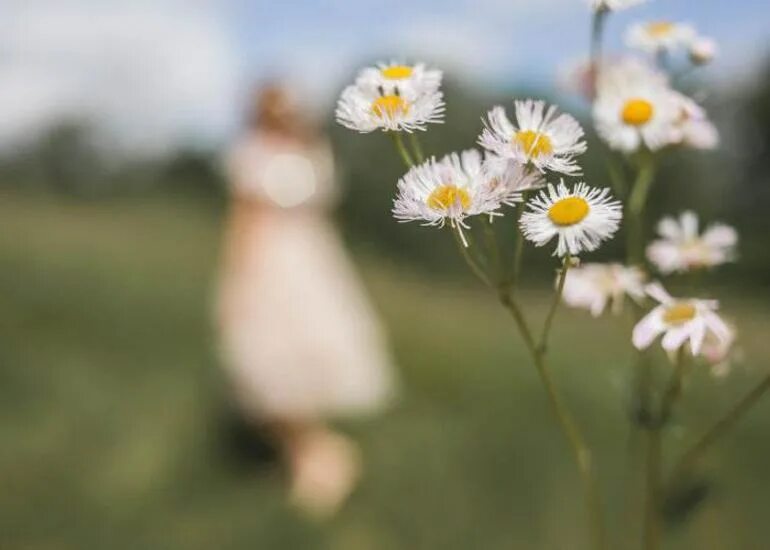 Сон белые ромашки. Ромашки и звезды. Букет ромашек на поле ромашек. Ромашка в космосе. Сон белые ромашки.