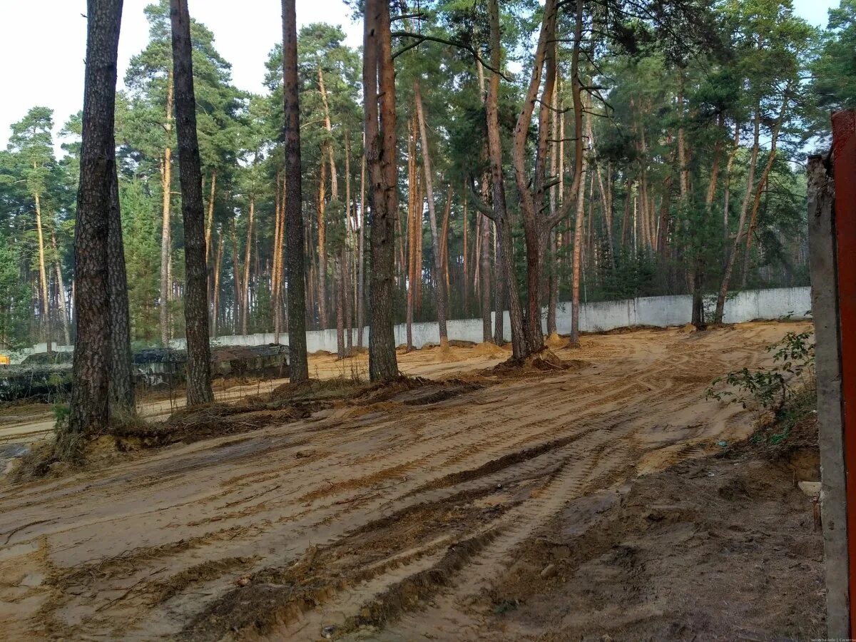 Поселок солотча. Поселок солотча лысая гора. лысая гора рязанская область. солотча рязань. рязань поселок солотча.