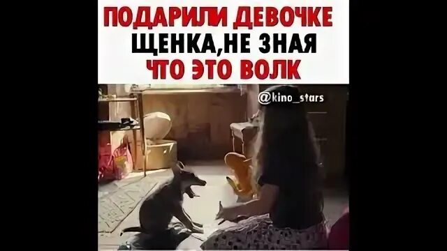 Подарил девочке щенка