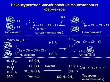 Конкурентные и неконкурентные ингибиторы ферментов