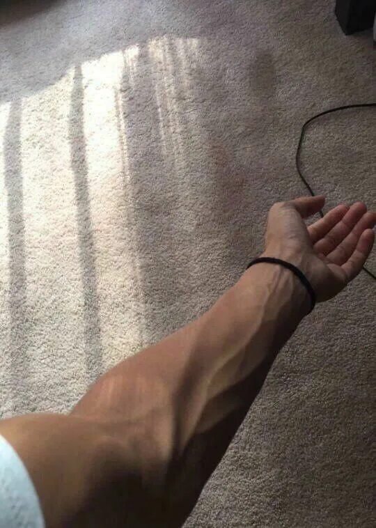 Как должны выглядеть вены на руках Pin by морт. on hands * Arm veins, Male hands, Hand veins