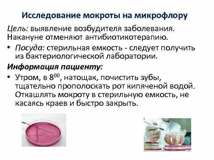 Как сделать мокроту. Бактериологическое исследование мокроты цель исследования. Цель бактериологического исследования мокроты. Бак исследование мокроты подготовка. Сбор мокроты для исследования на бак посев.