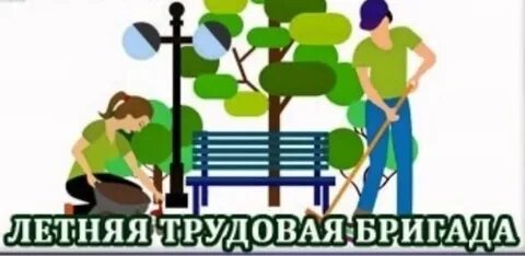 Трудовое лето 2024