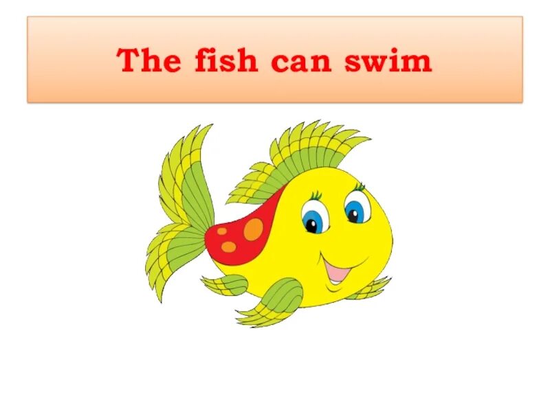 Спотлайт 2 класс рыба. Рыбка на английском. My animals Spotlight 2 класс. A Fish can Swim. I like to be a fish