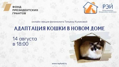 Адаптация дома