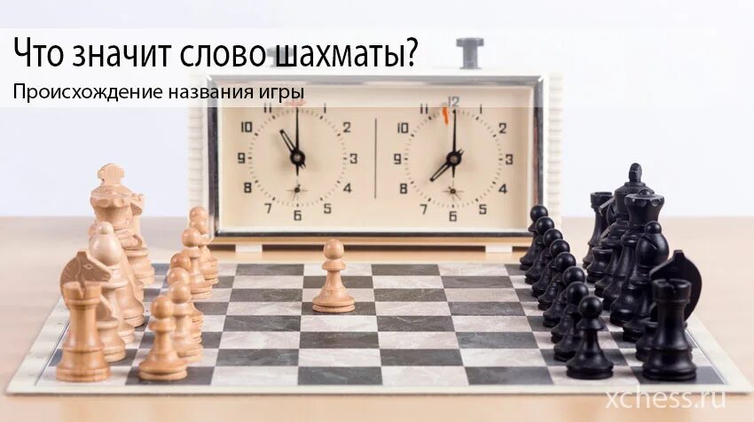 Гроссмейстер звание в шахматах. Гроссмейстер звание в шахматах