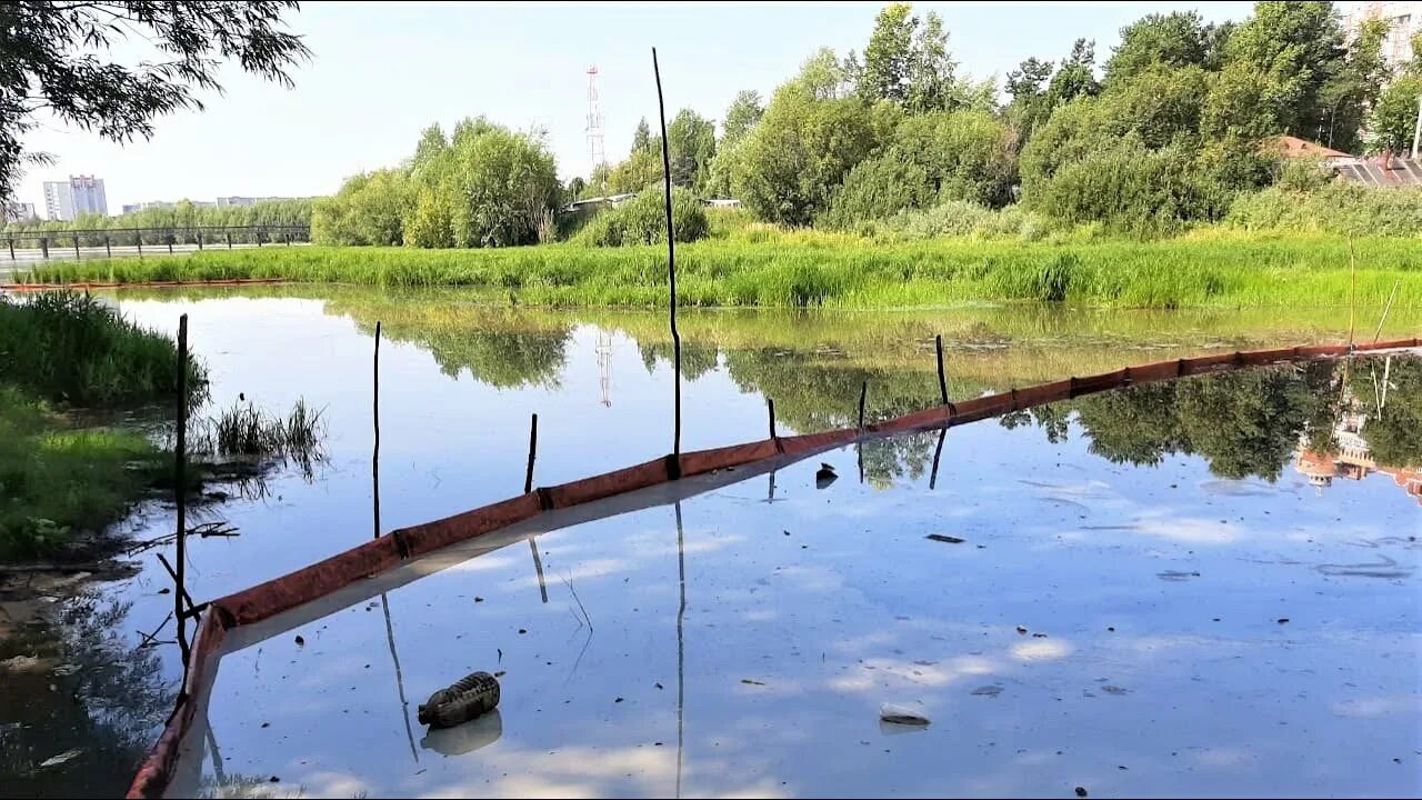 Сургут река. Вода сургут река. Обь в разливе. Река сайма сургут. Речка сайма в сургуте.