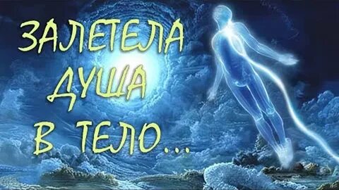 Залетела душа