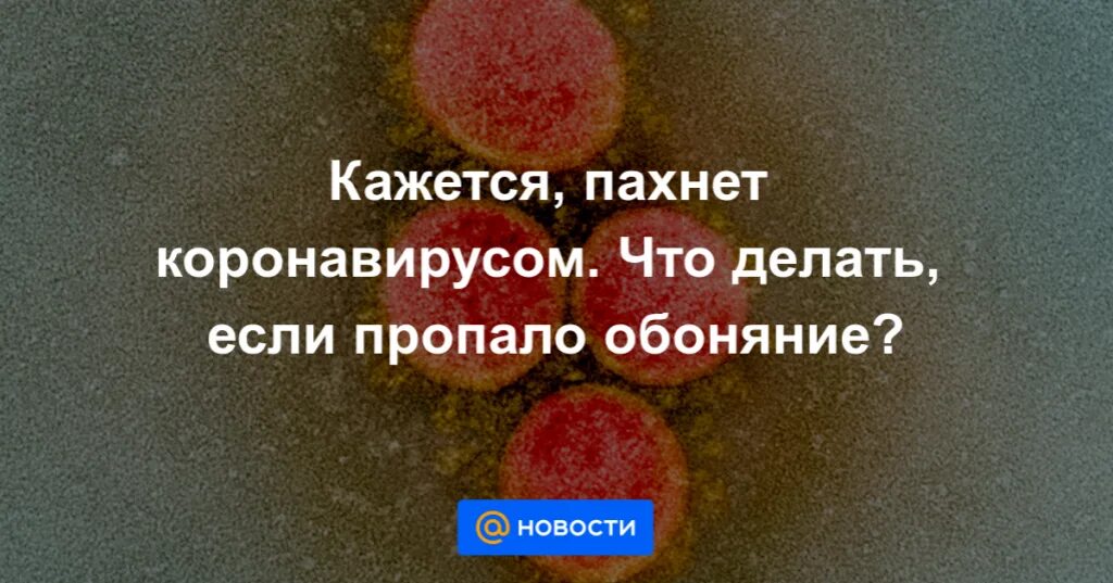 Почему человек не чувствует запахи