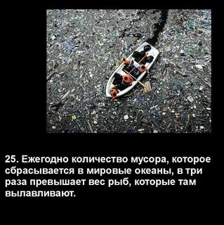 Факты о которых ты не знала