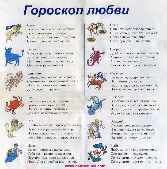 Сочиним гороскоп. Знаки зодиака. гороскопы. смешной гороскоп. шуточный гороскоп по знакам зодиака.