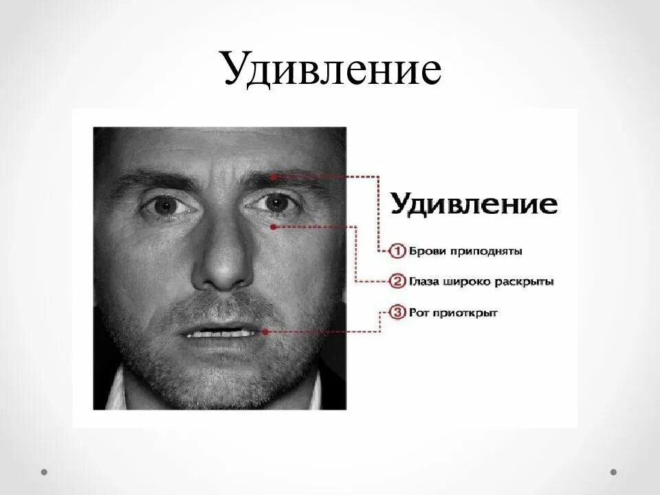 Удивление определение