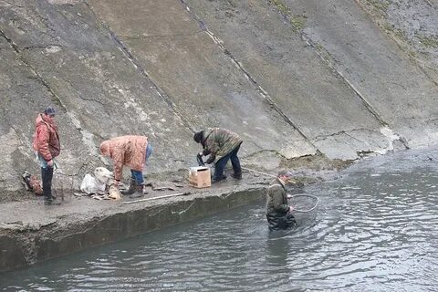 На северном спустили воду