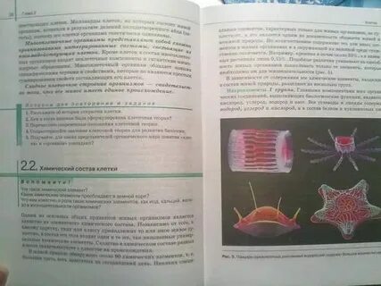 Учебник по биологии сивоглазов 8 класс читать