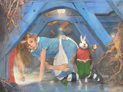 Into the rabbit hole