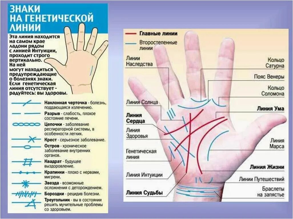 Хиромантия линия интуиции. Где на руке линия судьбы. Линия интуиции на левой руке. Линия интуиции на левой ладони.