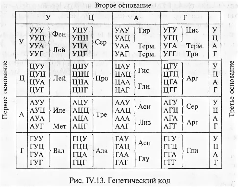 Таблица кодонов ДНК. Аминокислоты таблица генетического кода. Таблица аминокислот и триплетов ДНК. Таблица РНК аминокислот.
