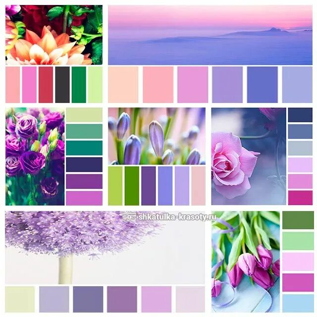 Сочетание цветов сиреневый. Лавандовый цвет сочетание с другими цветами. Цвет прованская лаванда. Сочетание цветов сиреневый. Цвета сочетающиеся с сиреневым.