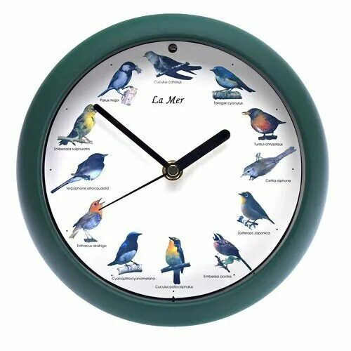 Поющие часы. Горсад тюмень часы. Колесо обозрения на цветном бульваре тюмень часы. Часы с птицами настенные поющими. Цветной бульвар тюмень колесо обозрения.