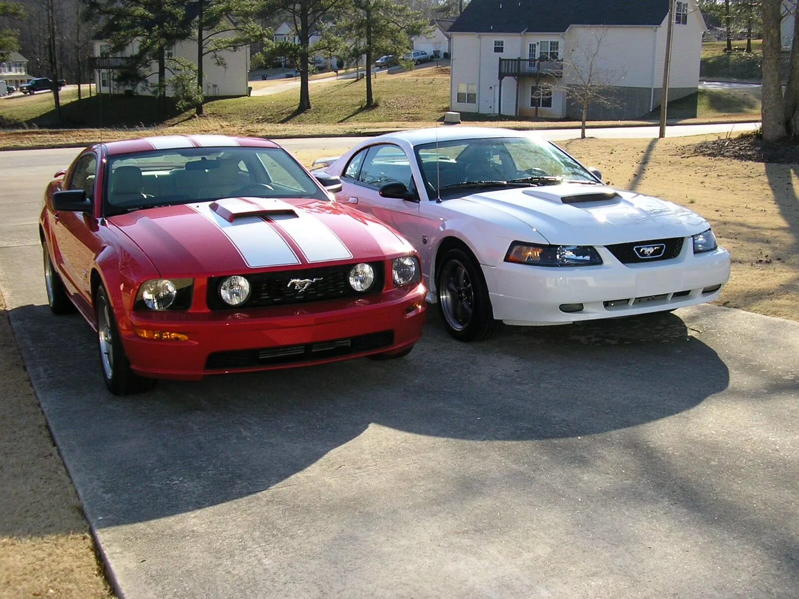 Мустанг гт 2004. Ford mustang gt 2004. Форд мустанг 2004. Форд мустанг 2004. Форд мустанг кабриолет 2004.