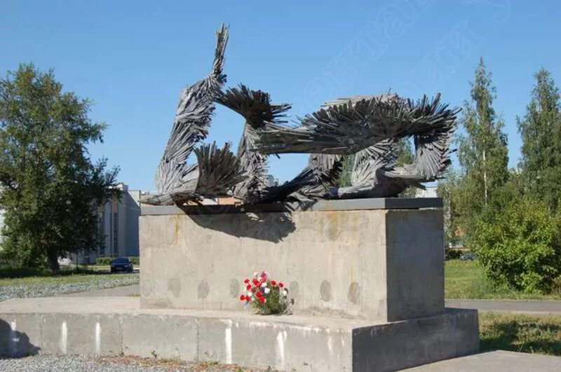 белоголовый орел. серая птица с черными крыльями. павших птиц. павших птиц. орел с открытым клювом.