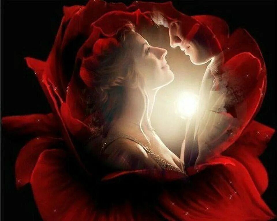 любовь и нежность. красивая моя нежная и сердце подскажет. цветы объятия. обои на рабочий стол любовь. нежное сердце.
