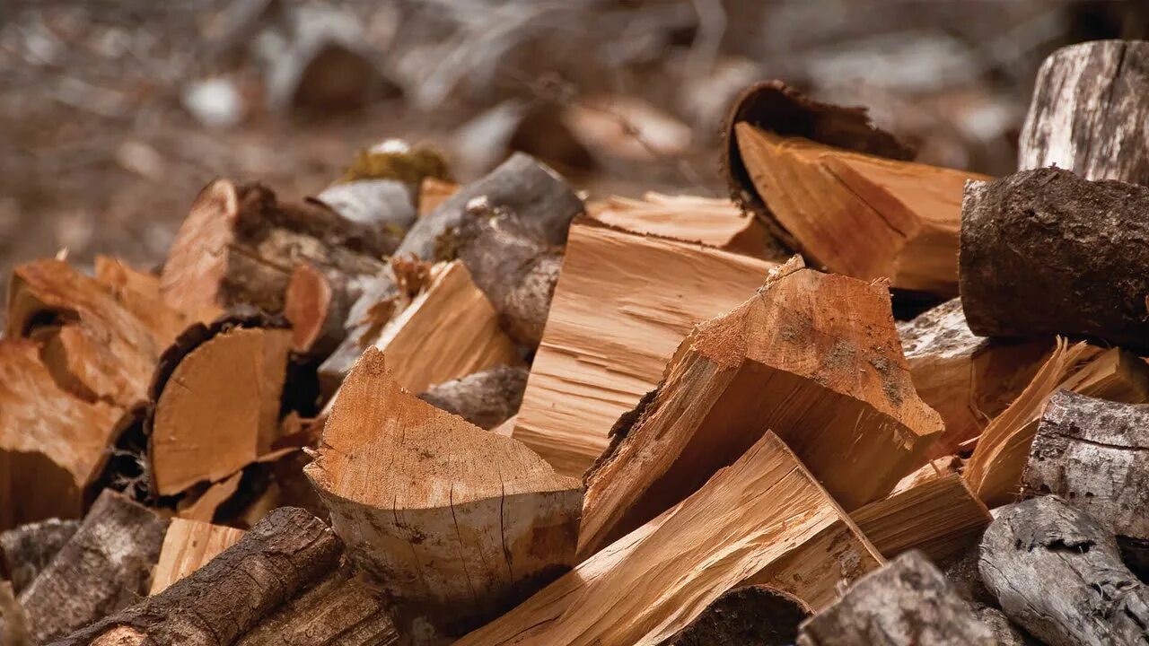 Какие дрова выбрать. Какие дрова выбрать. Дерево дрова. Дерево дрова. Дрова берёзовые колотые.