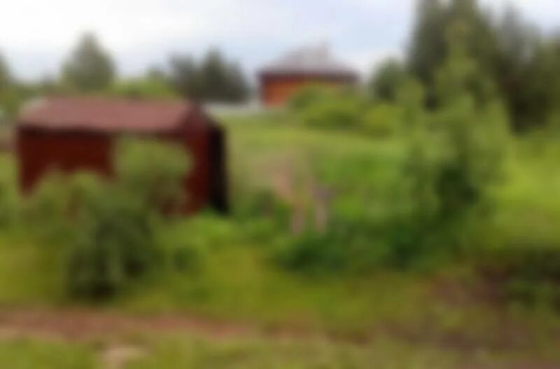 Уехать в деревню глухую подальше