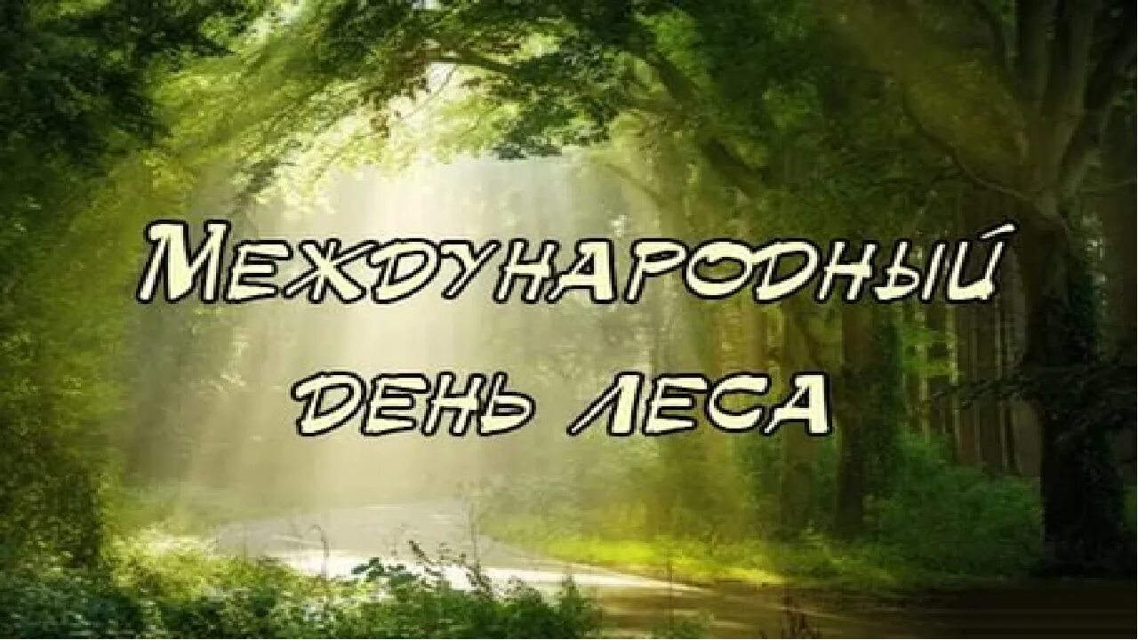 21 международный день леса. День леса. Международный день леса. Междуанродныйдень лесов.