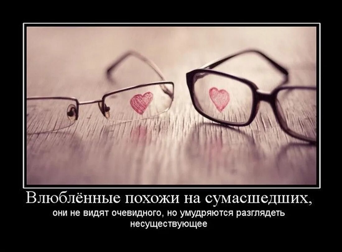 Влюбился в глупую. Шутки про любовь. Фразы для влюбленных. Смешные высказывания про любовь. Прикольные цитаты про любовь.