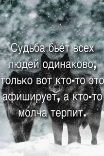 Все люди одинаковые