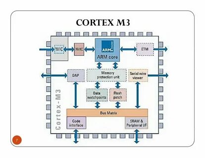 Arm cortex