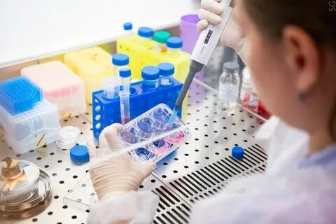 Предложили новый метод исследования