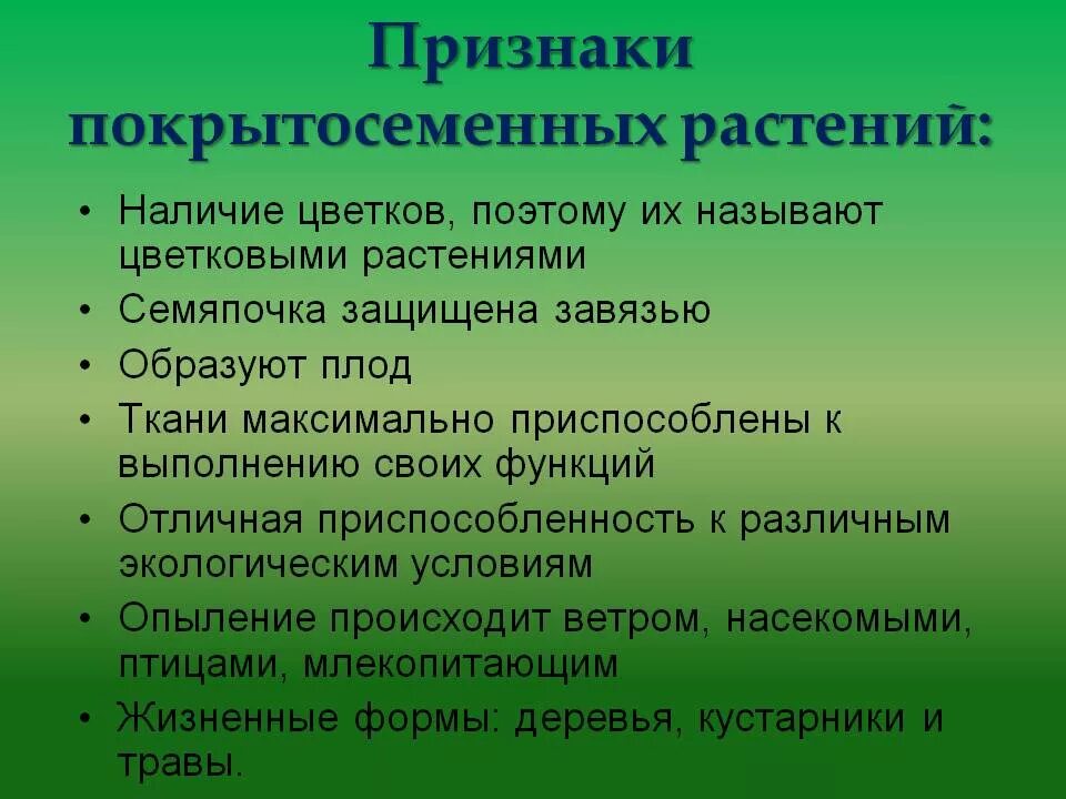 Три признака покрытосеменных