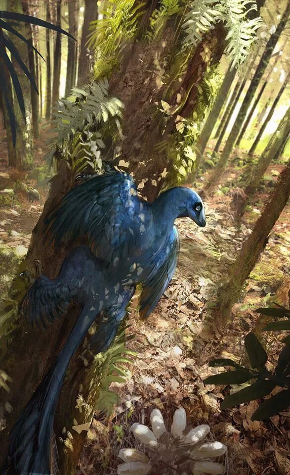 Микрораптор. Microraptor zhaoianus. микрораптор динозавр. микрораптор гуи. четырехкрылый микрораптор.