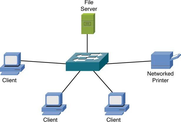 Сеть файл сервер. Server types. отличительные черты lan server. следует выбрать клиент серверную сеть если. n+1 сеть.