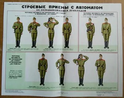 Псп строевая