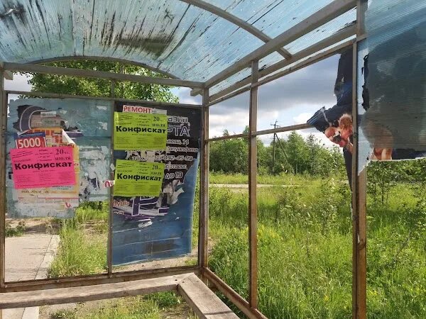 Лес дом няндома график работы Официальный сайт Няндомский районный центр культуры и спорта