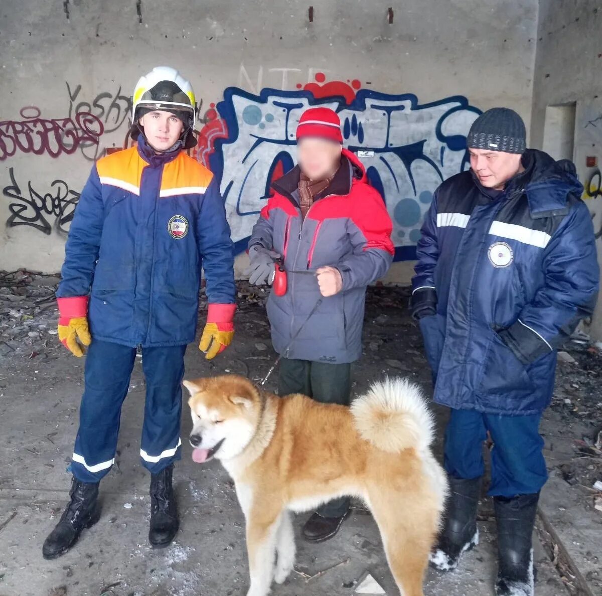 День спасения кошек. Собаки спасатели породы. Спасательные службы. День спасателя. Служба спасения животных.