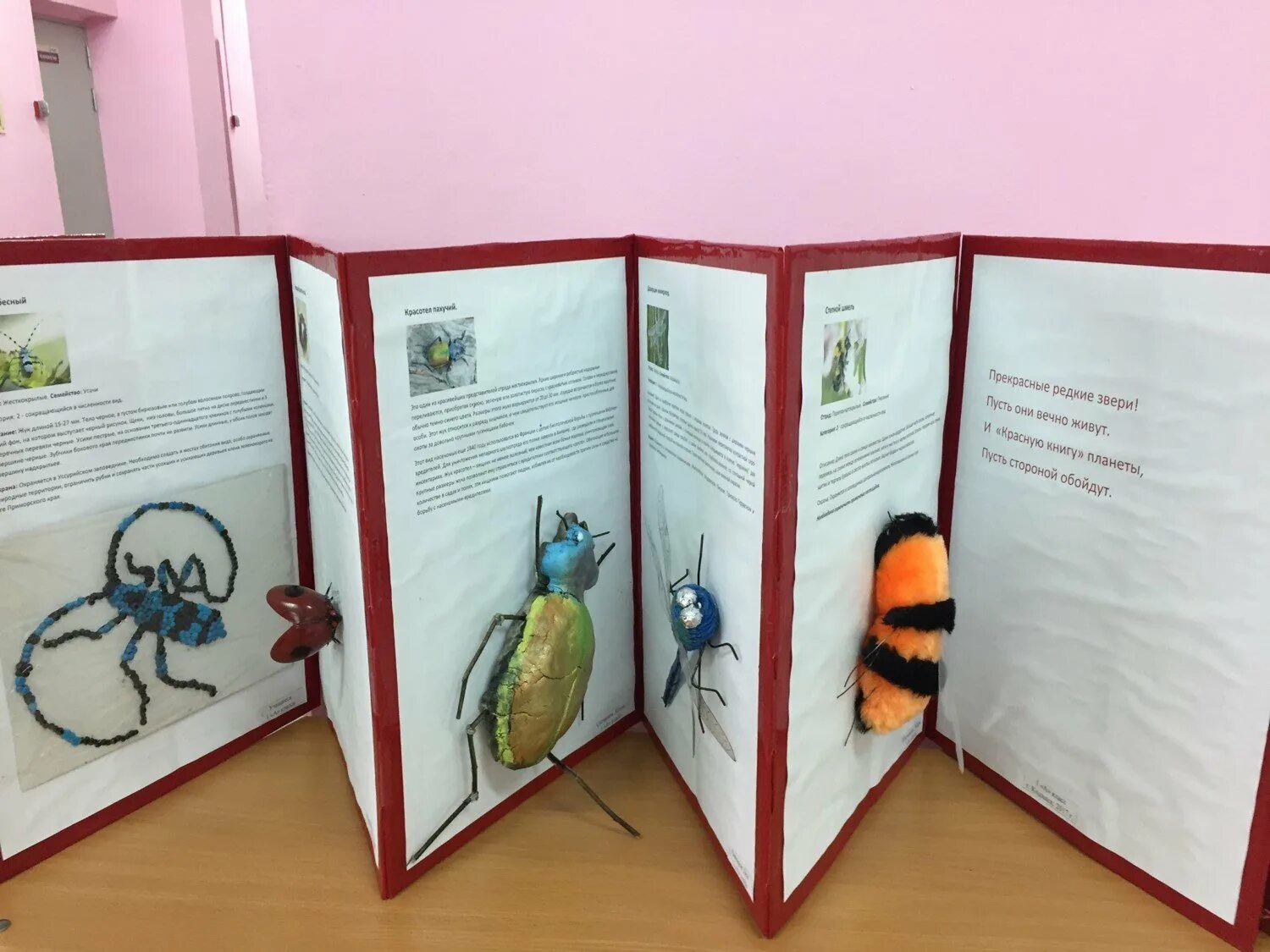 Как оформить красную книгу своими руками. Красная книга своими руками. раскладушка книжка в садик. макет красной книги. книжка раскладушка по проекту.
